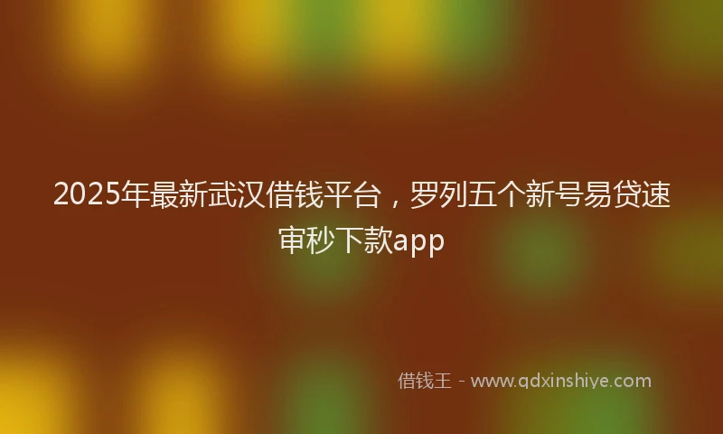 2025年最新武汉借钱平台，罗列五个新号易贷速审秒下款app