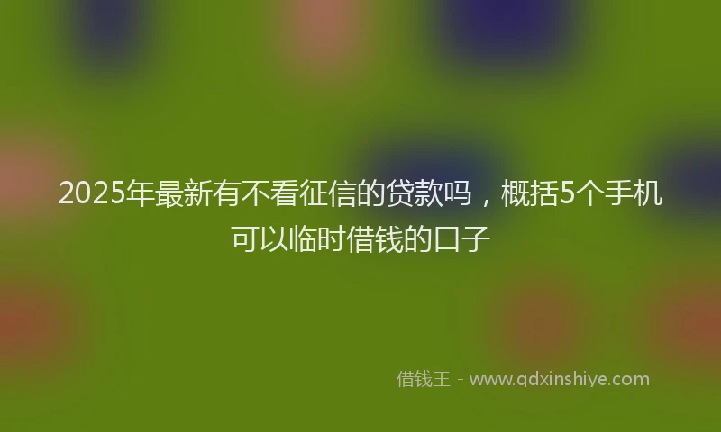 2025年最新有不看征信的贷款吗，概括5个手机可以临时借钱的口子