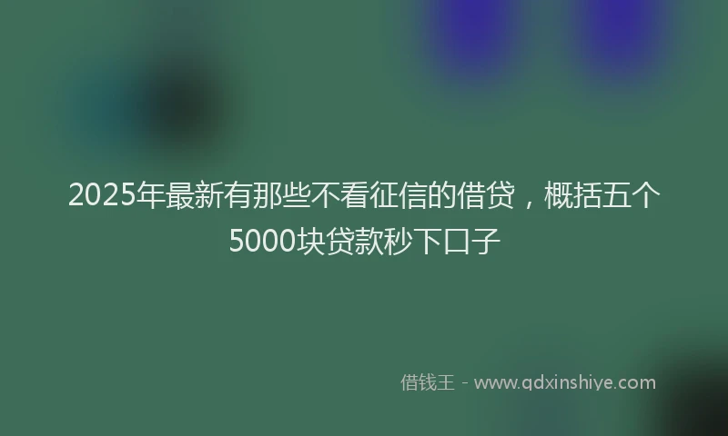 2025年最新有那些不看征信的借贷，概括五个5000块贷款秒下口子