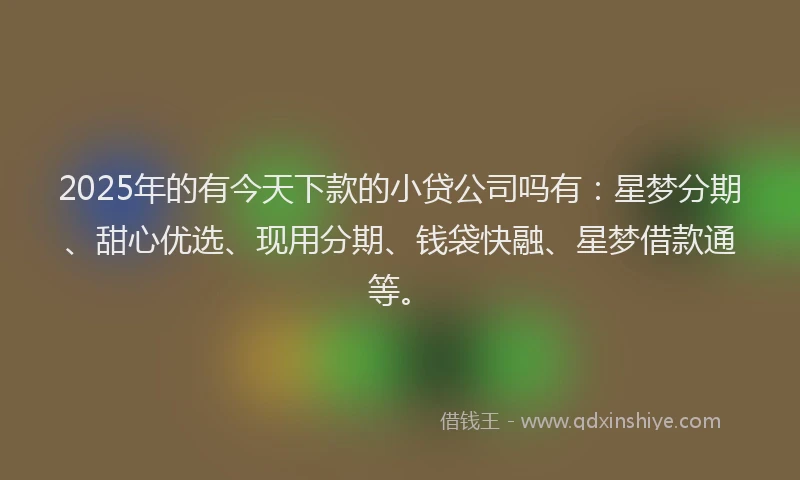 2025年的有今天下款的小贷公司吗有：星梦分期、甜心优选、现用分期、钱袋快融、星梦借款通等。