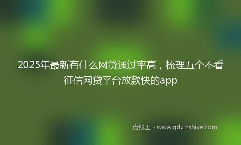 2025年最新有什么网贷通过率高，梳理五个不看征信网贷平台放款快的app