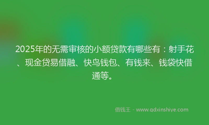2025年的无需审核的小额贷款有哪些有：射手花、现金贷易借融、快鸟钱包、有钱来、钱袋快借通等。