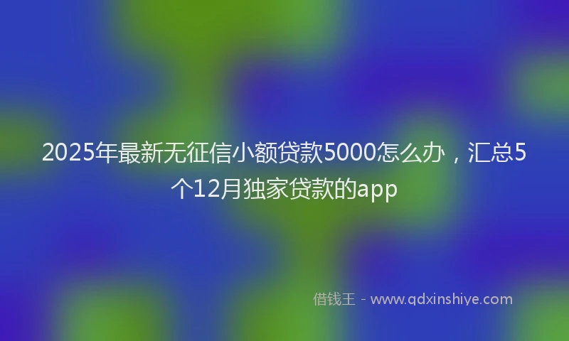 2025年最新无征信小额贷款5000怎么办，汇总5个12月独家贷款的app