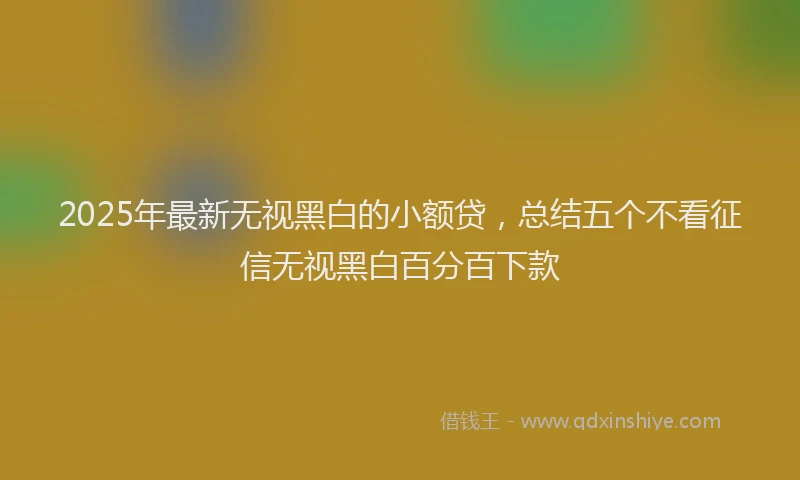 2025年最新无视黑白的小额贷，总结五个不看征信无视黑白百分百下款