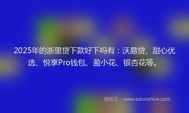 2025年的浙里贷下款好下吗有：沃易贷、甜心优选、悦享Pro钱包、盈小花、银杏花等。