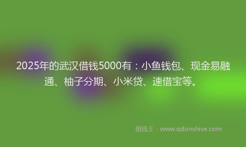 2025年的武汉借钱5000有：小鱼钱包、现金易融通、柚子分期、小米贷、速借宝等。