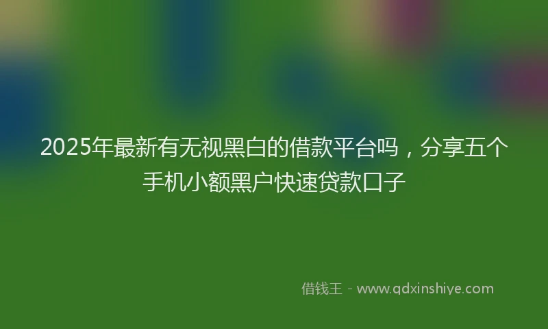 2025年最新有无视黑白的借款平台吗，分享五个手机小额黑户快速贷款口子