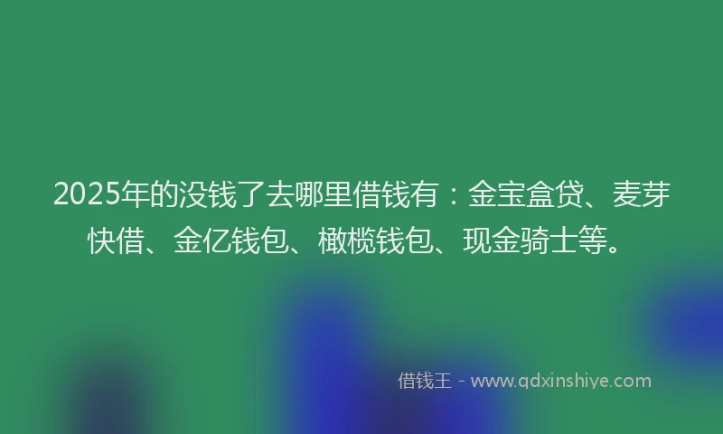 2025年的没钱了去哪里借钱有：金宝盒贷、麦芽快借、金亿钱包、橄榄钱包、现金骑士等。