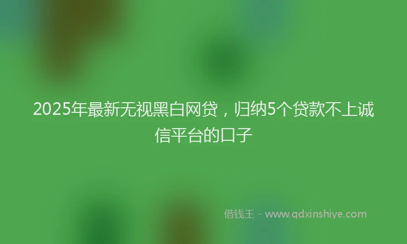 2025年最新无视黑白网贷，归纳5个贷款不上诚信平台的口子