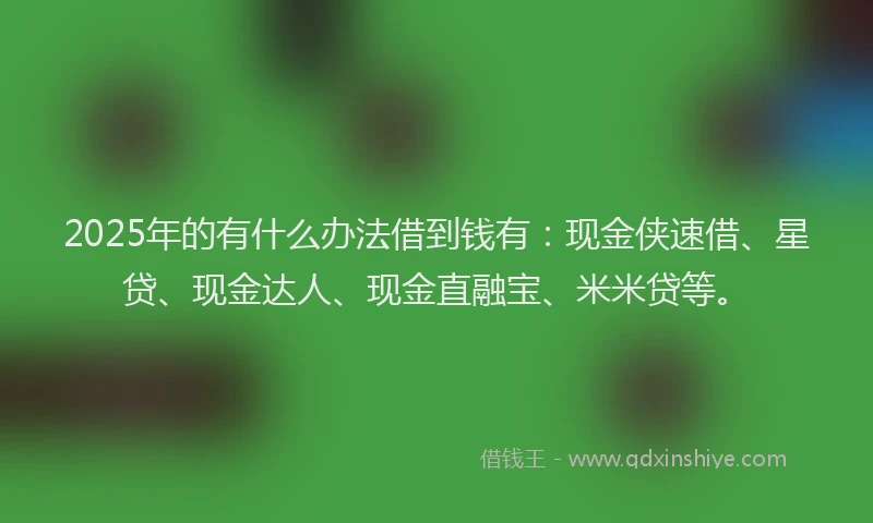 2025年的有什么办法借到钱有：现金侠速借、星贷、现金达人、现金直融宝、米米贷等。