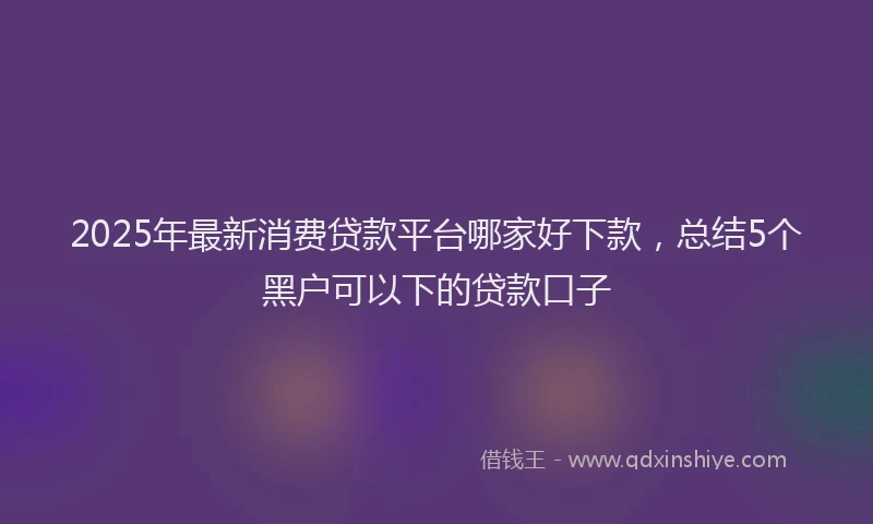 2025年最新消费贷款平台哪家好下款，总结5个黑户可以下的贷款口子