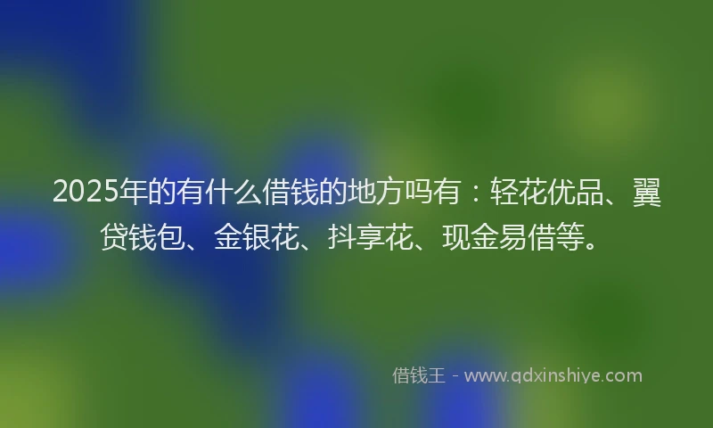2025年的有什么借钱的地方吗有：轻花优品、翼贷钱包、金银花、抖享花、现金易借等。