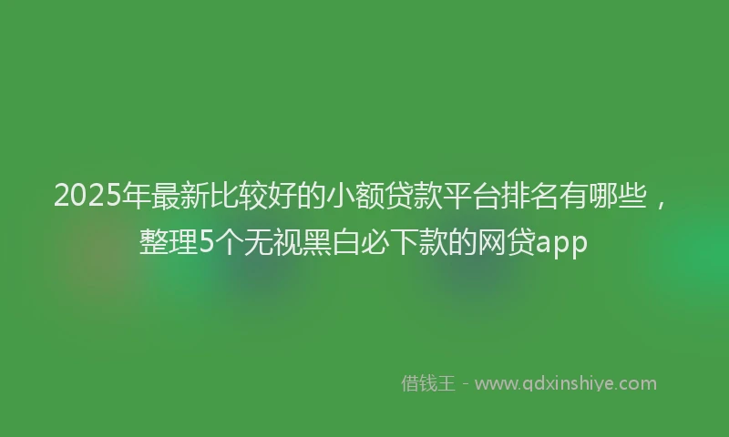 2025年最新比较好的小额贷款平台排名有哪些，整理5个无视黑白必下款的网贷app