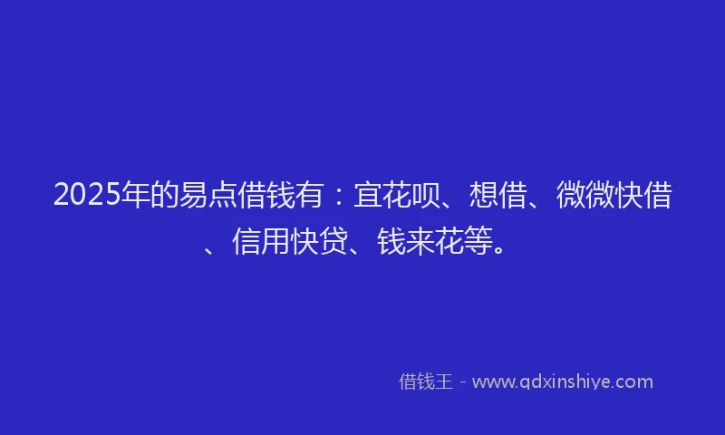 2025年的易点借钱有：宜花呗、想借、微微快借、信用快贷、钱来花等。