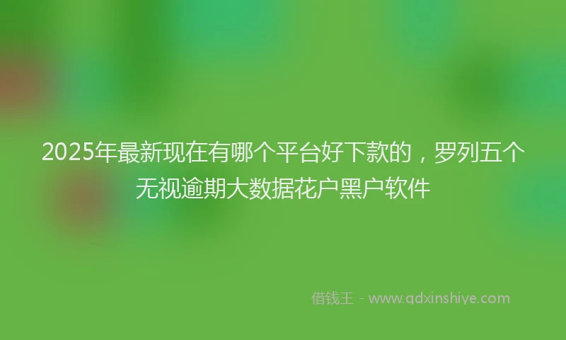 2025年最新现在有哪个平台好下款的，罗列五个无视逾期大数据花户黑户软件
