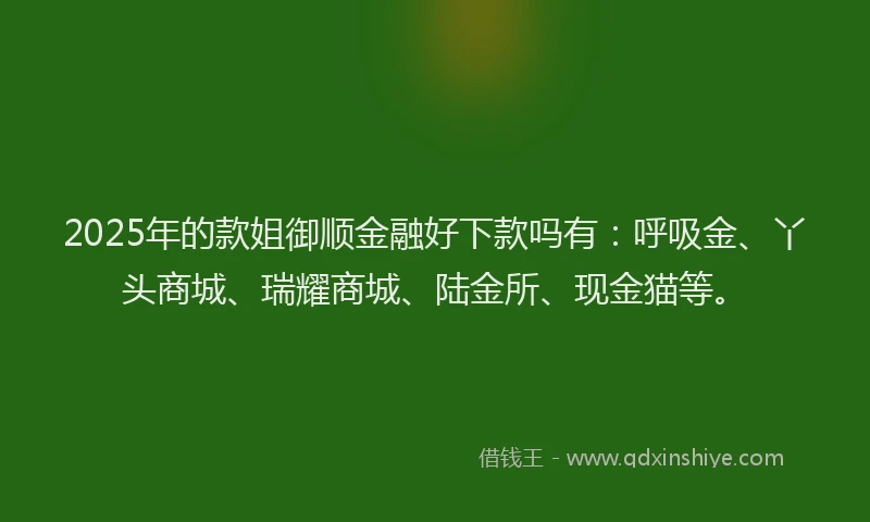 2025年的款姐御顺金融好下款吗有：呼吸金、丫头商城、瑞耀商城、陆金所、现金猫等。