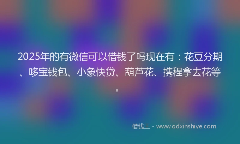 2025年的有微信可以借钱了吗现在有：花豆分期、哆宝钱包、小象快贷、葫芦花、携程拿去花等。