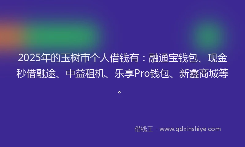 2025年的玉树市个人借钱有：融通宝钱包、现金秒借融途、中益租机、乐享Pro钱包、新鑫商城等。