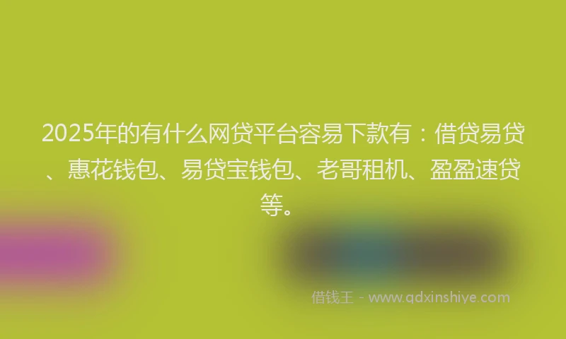 2025年的有什么网贷平台容易下款有：借贷易贷、惠花钱包、易贷宝钱包、老哥租机、盈盈速贷等。