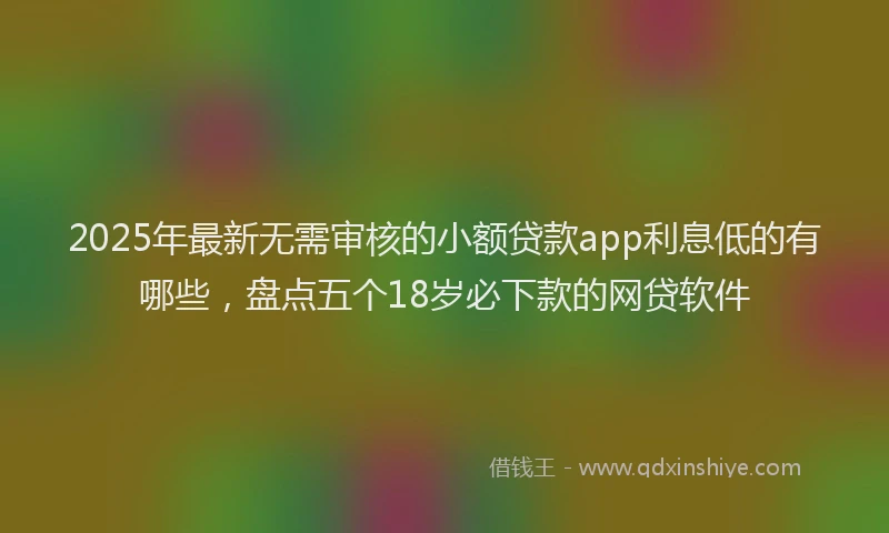 2025年最新无需审核的小额贷款app利息低的有哪些，盘点五个18岁必下款的网贷软件
