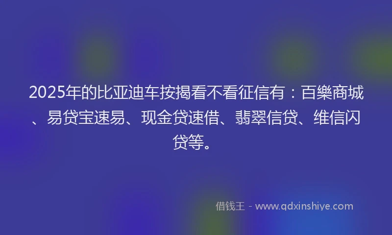 2025年的比亚迪车按揭看不看征信有：百樂商城、易贷宝速易、现金贷速借、翡翠信贷、维信闪贷等。