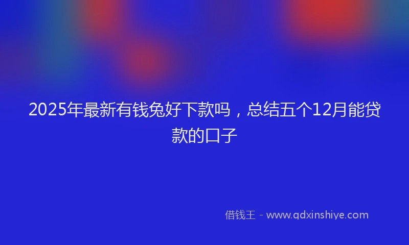 2025年最新有钱兔好下款吗，总结五个12月能贷款的口子