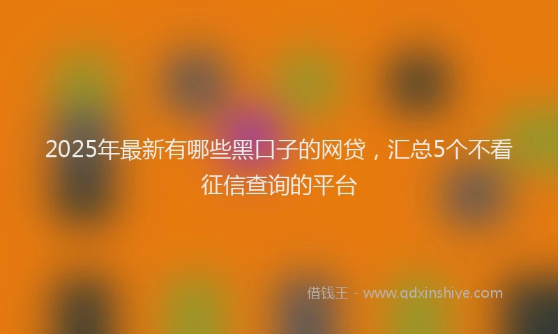 2025年最新有哪些黑口子的网贷，汇总5个不看征信查询的平台