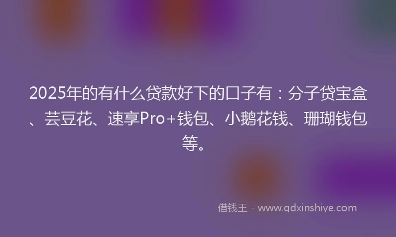 2025年的有什么贷款好下的口子有：分子贷宝盒、芸豆花、速享Pro+钱包、小鹅花钱、珊瑚钱包等。