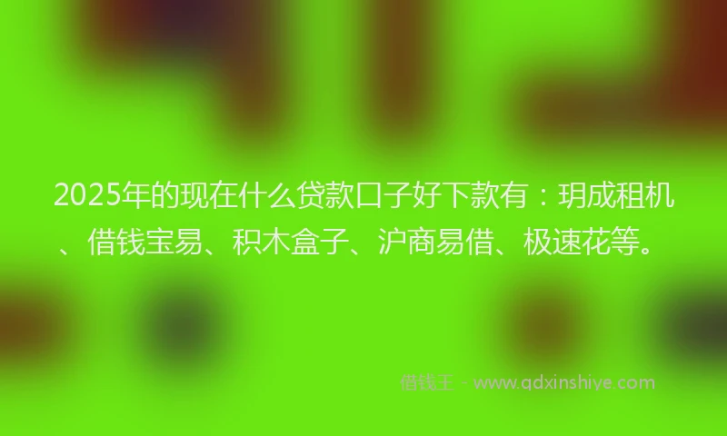 2025年的现在什么贷款口子好下款有：玥成租机、借钱宝易、积木盒子、沪商易借、极速花等。