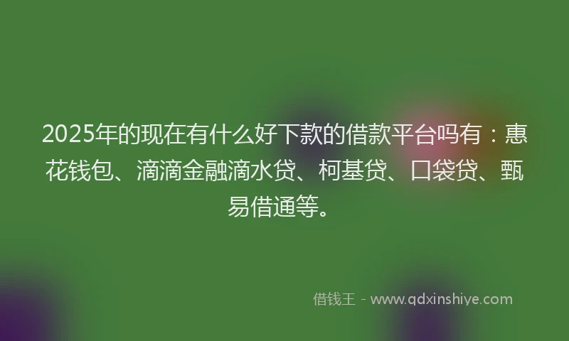 2025年的现在有什么好下款的借款平台吗有：惠花钱包、滴滴金融滴水贷、柯基贷、口袋贷、甄易借通等。