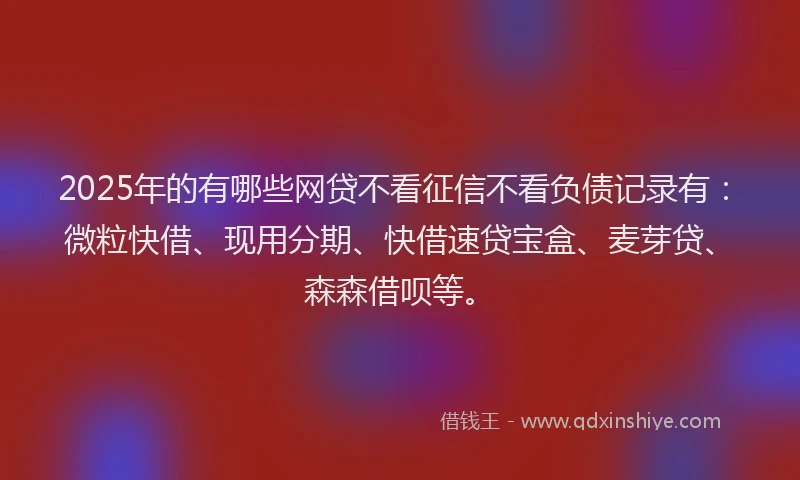 2025年的有哪些网贷不看征信不看负债记录有：微粒快借、现用分期、快借速贷宝盒、麦芽贷、森森借呗等。
