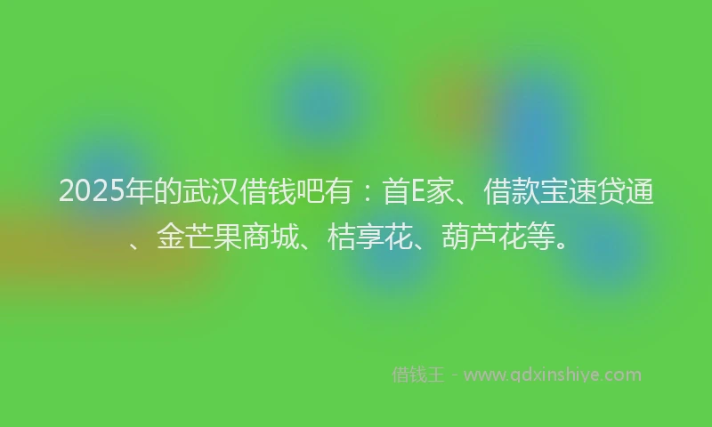 2025年的武汉借钱吧有：首E家、借款宝速贷通、金芒果商城、桔享花、葫芦花等。