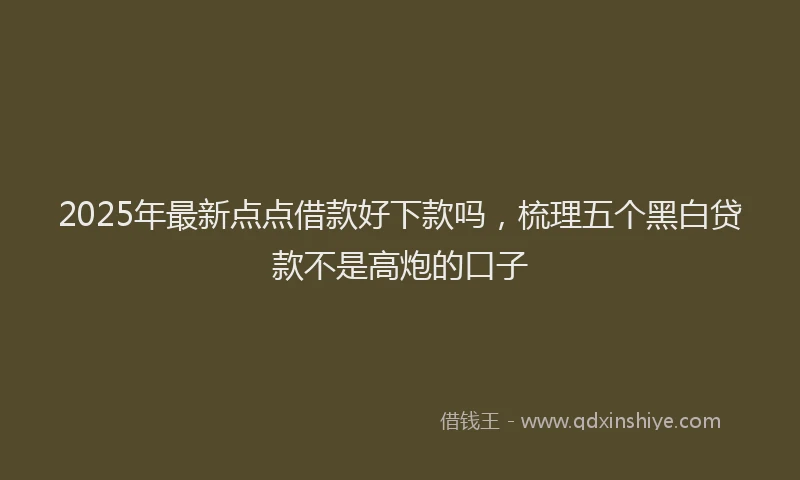 2025年最新点点借款好下款吗，梳理五个黑白贷款不是高炮的口子