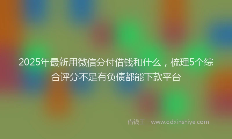 2025年最新用微信分付借钱和什么，梳理5个综合评分不足有负债都能下款平台