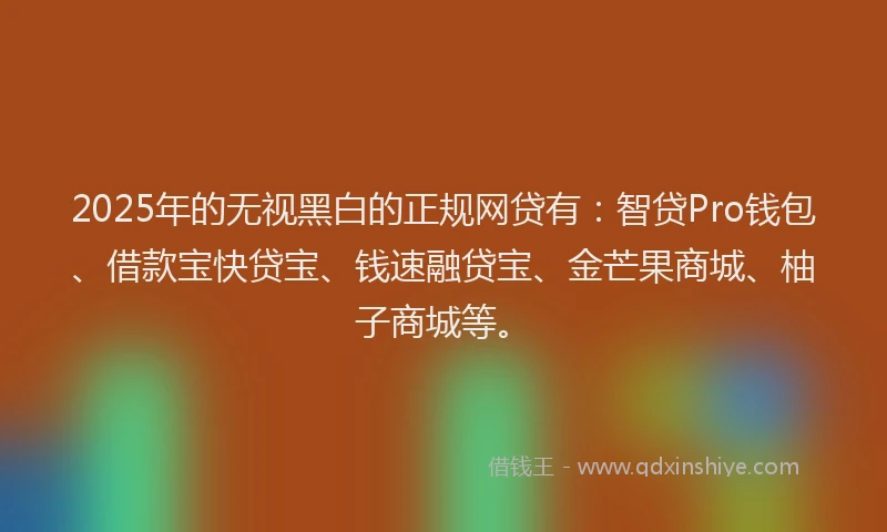 2025年的无视黑白的正规网贷有：智贷Pro钱包、借款宝快贷宝、钱速融贷宝、金芒果商城、柚子商城等。