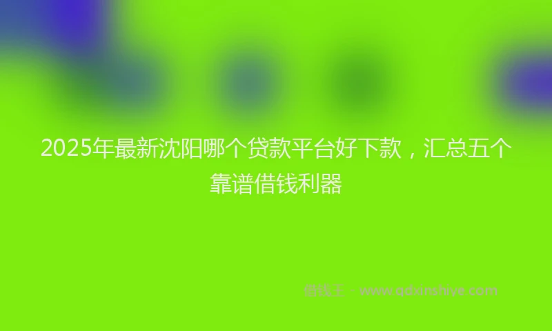 2025年最新沈阳哪个贷款平台好下款，汇总五个靠谱借钱利器
