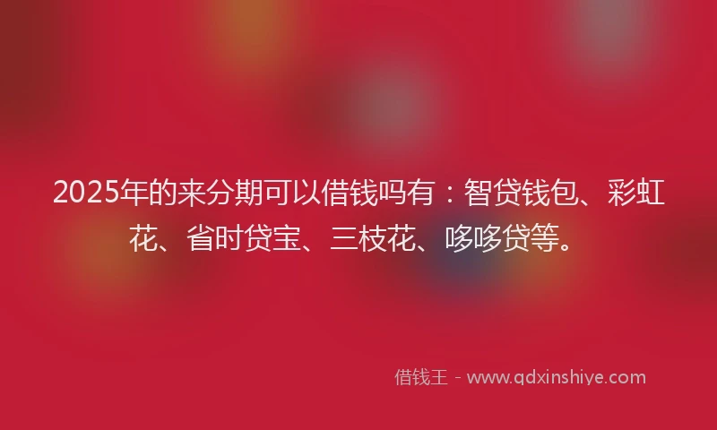2025年的来分期可以借钱吗有：智贷钱包、彩虹花、省时贷宝、三枝花、哆哆贷等。