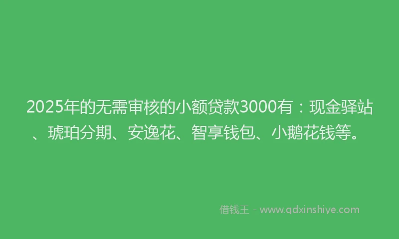 2025年的无需审核的小额贷款3000有：现金驿站、琥珀分期、安逸花、智享钱包、小鹅花钱等。