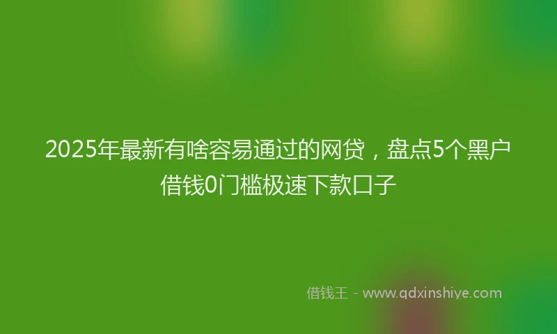 2025年最新有啥容易通过的网贷，盘点5个黑户借钱0门槛极速下款口子