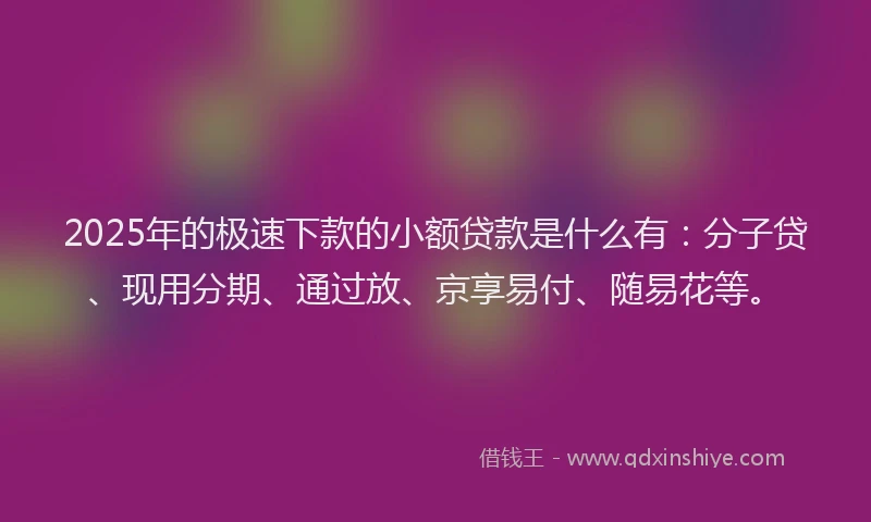 2025年的极速下款的小额贷款是什么有：分子贷、现用分期、通过放、京享易付、随易花等。