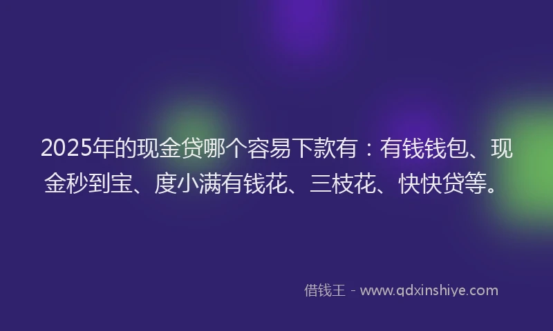 2025年的现金贷哪个容易下款有：有钱钱包、现金秒到宝、度小满有钱花、三枝花、快快贷等。