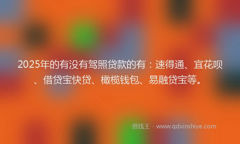 2025年的有没有驾照贷款的有：速得通、宜花呗、借贷宝快贷、橄榄钱包、易融贷宝等。