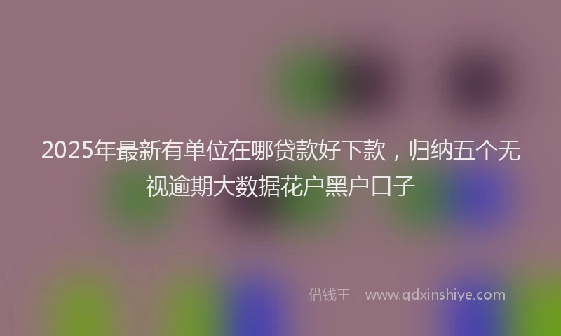 2025年最新有单位在哪贷款好下款，归纳五个无视逾期大数据花户黑户口子