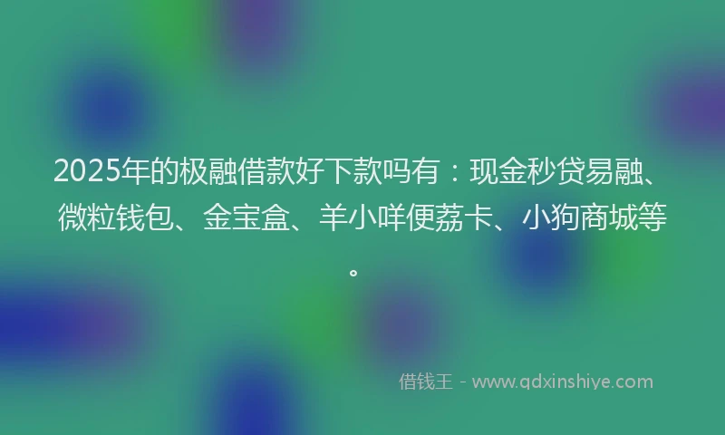 2025年的极融借款好下款吗有：现金秒贷易融、微粒钱包、金宝盒、羊小咩便荔卡、小狗商城等。