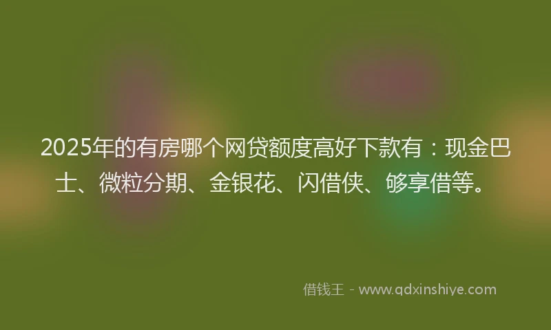 2025年的有房哪个网贷额度高好下款有：现金巴士、微粒分期、金银花、闪借侠、够享借等。