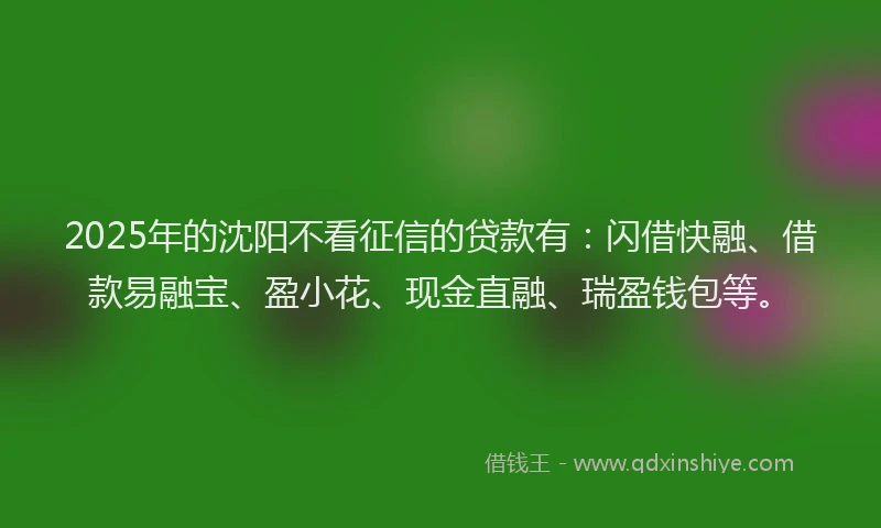 2025年的沈阳不看征信的贷款有：闪借快融、借款易融宝、盈小花、现金直融、瑞盈钱包等。