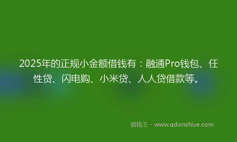 2025年的正规小金额借钱有：融通Pro钱包、任性贷、闪电购、小米贷、人人贷借款等。