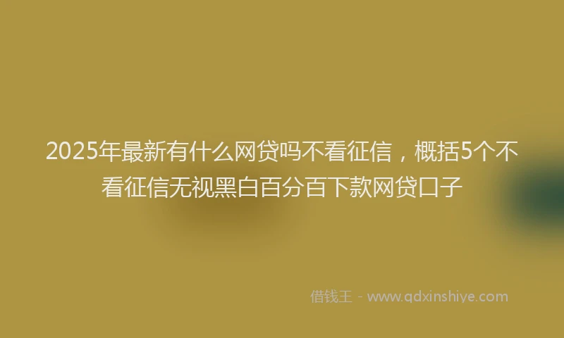 2025年最新有什么网贷吗不看征信，概括5个不看征信无视黑白百分百下款网贷口子