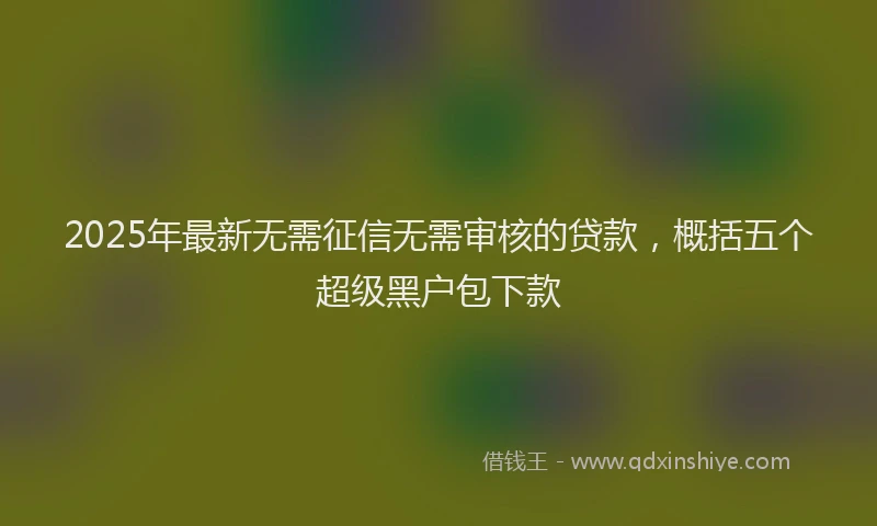 2025年最新无需征信无需审核的贷款，概括五个超级黑户包下款