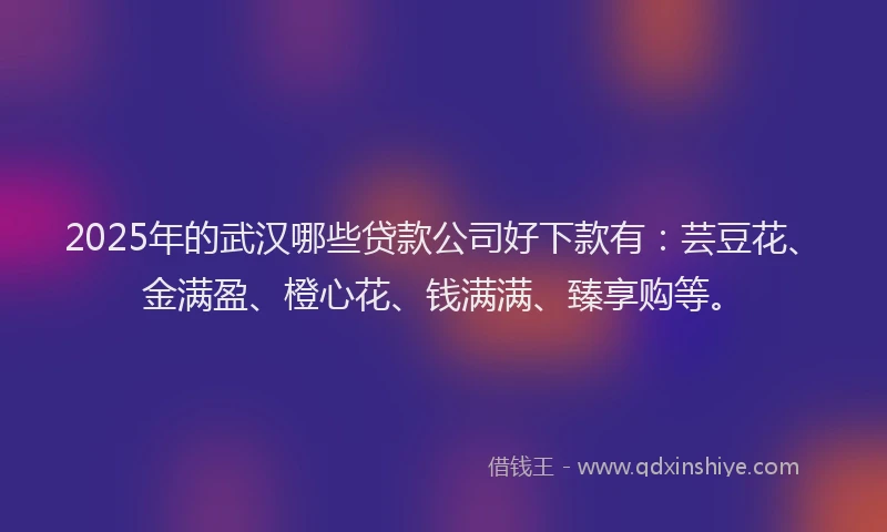 2025年的武汉哪些贷款公司好下款有：芸豆花、金满盈、橙心花、钱满满、臻享购等。